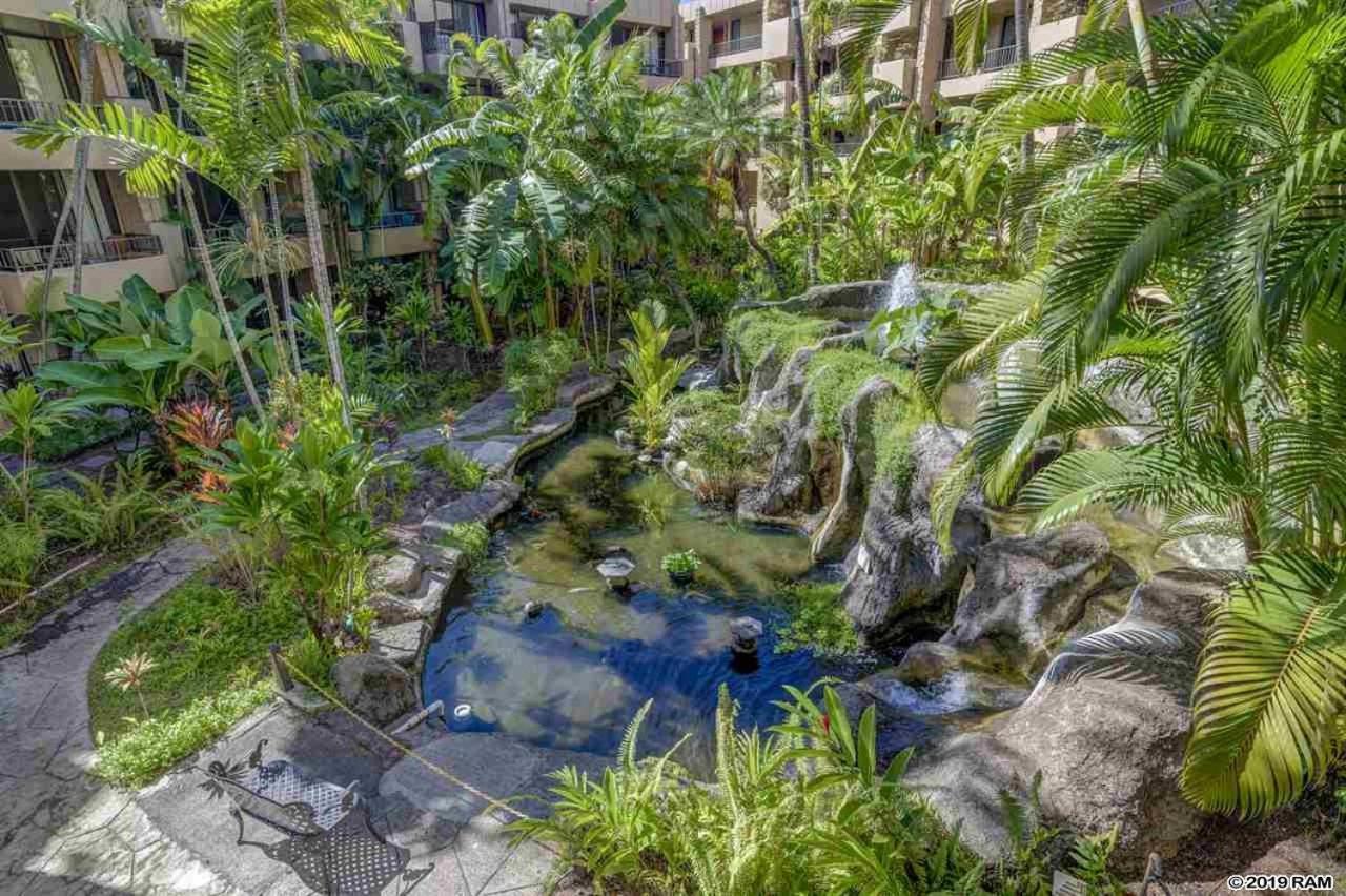 Wonderful - Paki Maui Lahaina